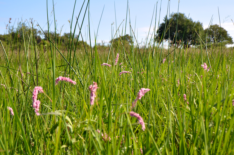 Melanie Heinrich Travel Images Africa